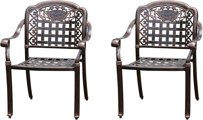 Outdoor Dining Chair Cast Aluminum Patio Chairs Set of 2 All-Weather Patio Dining Chair with Adjustable Feet for - Photo 1