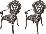 Outdoor Dining Chair Cast Aluminum Patio Chairs Set of 2 All-Weather Patio Dining Chair with Adjustable Feet for - Photo 1