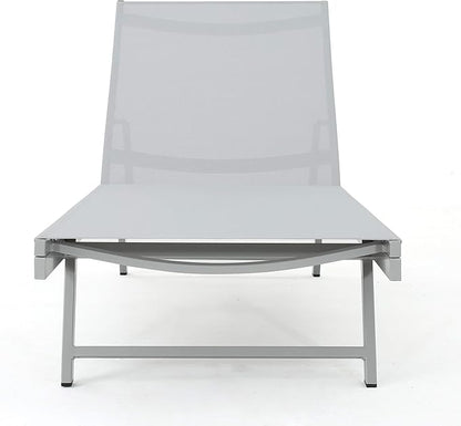 GDFStudio Allen Outdoor Gry Mesh Chaise Lounge with Aluminum Frame (Set of 2)