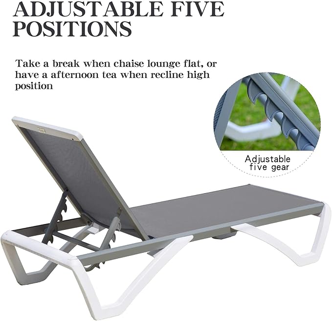 Domi Chaise Lounge Outdoor, Patio Lounge Chair with Aluminum Frame, All Weather Pool Lounge Chair for Deck Lawn Backyard, Gray, Set of 2