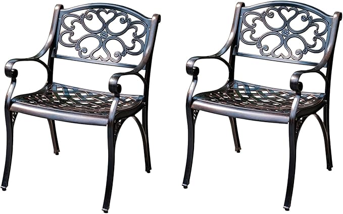 Outdoor Dining Chair Cast Aluminum Patio Chairs Set of 2 All-Weather Patio Dining Chair with Adjustable Feet for - Photo 1