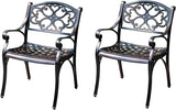 Outdoor Dining Chair Cast Aluminum Patio Chairs Set of 2 All-Weather Patio Dining Chair with Adjustable Feet for - Photo 1