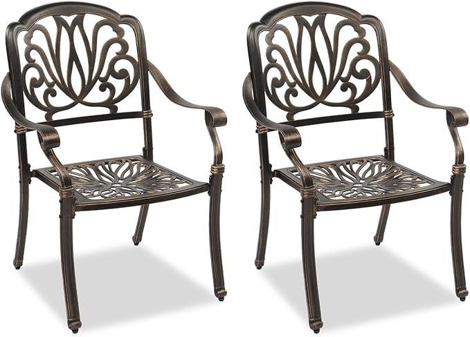 VINGLI Patio Chairs Set of 2, All-Weather Cast Aluminum Outdoor Dining Chairs, Metal Armchairs for Poolside, Backyard, Balcony (2, Elizabeth Back Without Cushion)