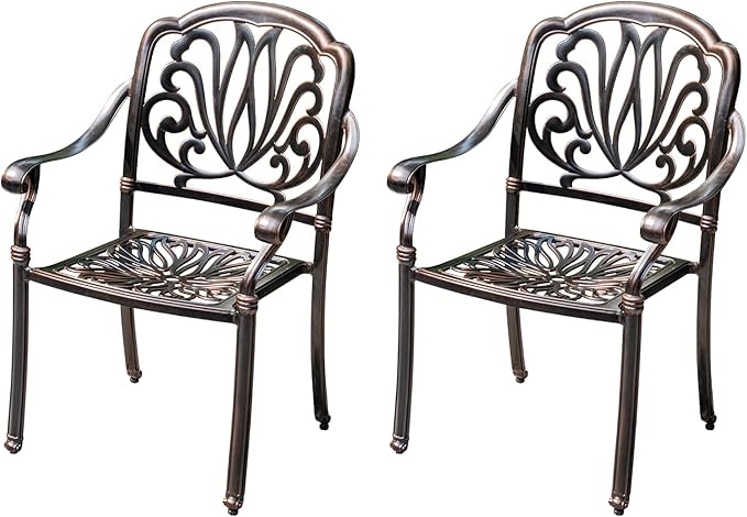 Outdoor Dining Chair Cast Aluminum Patio Chairs Set of 2 All-Weather Patio Dining Chair with Adjustable Feet for - Photo 1