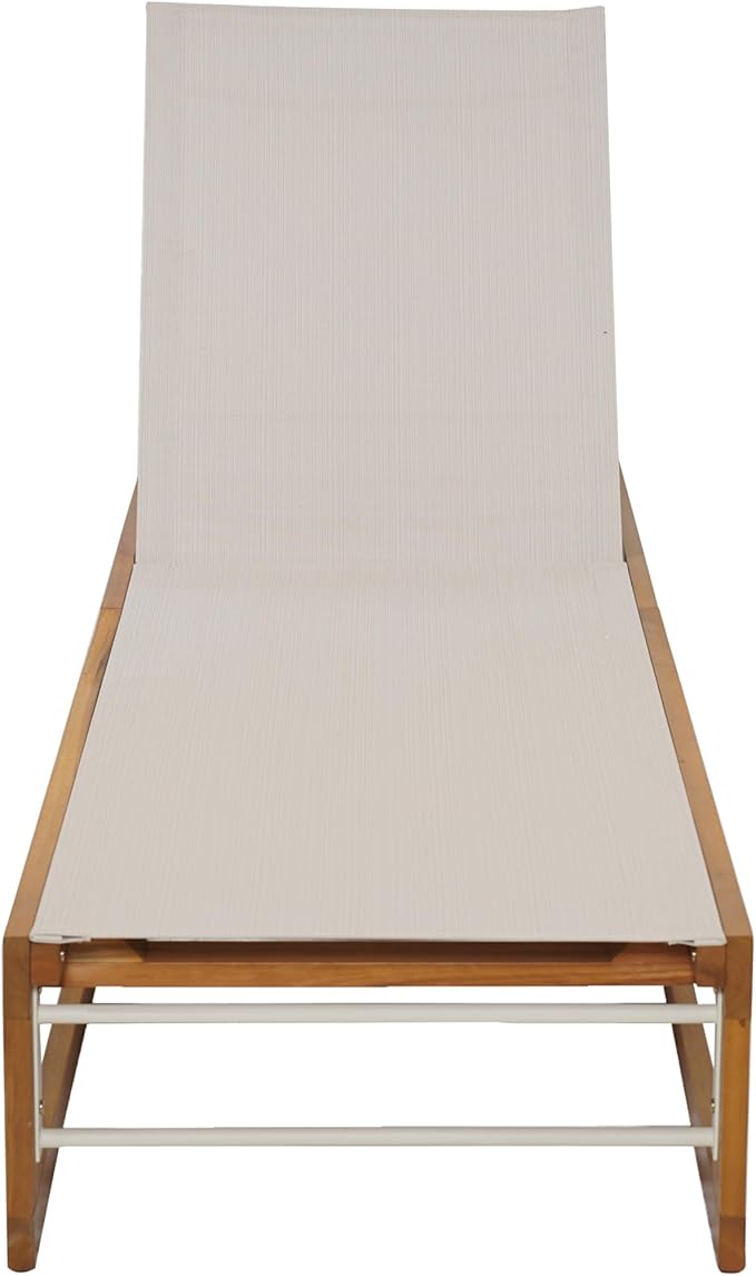 Christopher Knight Home Tristz Patio Chaise Lounge Chair Outdoor - Photo 6