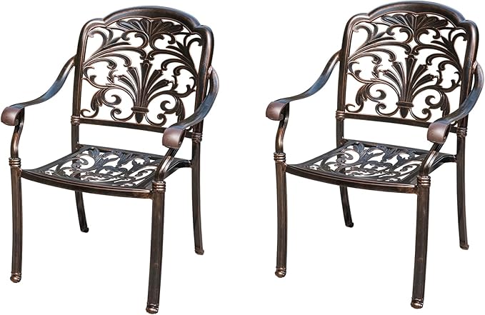 Outdoor Dining Chair Cast Aluminum Patio Chairs Set of 2 All-Weather Patio Dining Chair with Adjustable Feet for - Photo 1