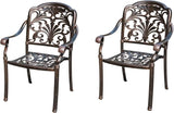 Outdoor Dining Chair Cast Aluminum Patio Chairs Set of 2 All-Weather Patio Dining Chair with Adjustable Feet for - Photo 1