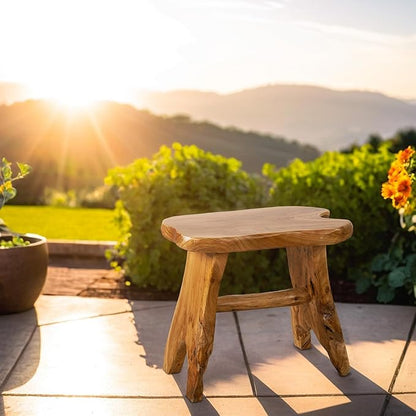 Natural Shape Solid Wood Stump Stool 20"x13"x18" Cedar Root End Table Rustic Plant Stand Live Edge Coffee Side Table Vintage Sit Foot Stool Living Room Bedroom Accent Outdoor Garden