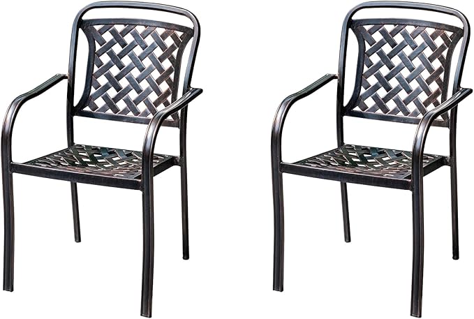 Outdoor Dining Chair Cast Aluminum Patio Chairs Set of 2 All-Weather Patio Dining Chair with Adjustable Feet for - Photo 1
