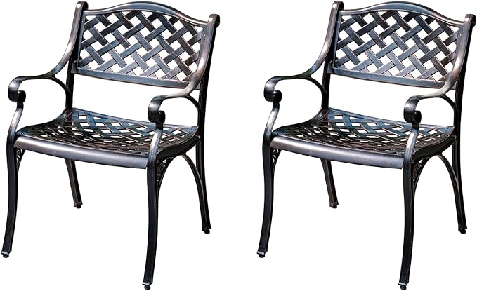 Outdoor Dining Chair Cast Aluminum Patio Chairs Set of 2 All-Weather Patio Dining Chair with Adjustable Feet for - Photo 1