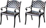 Outdoor Dining Chair Cast Aluminum Patio Chairs Set of 2 All-Weather Patio Dining Chair with Adjustable Feet for - Photo 1