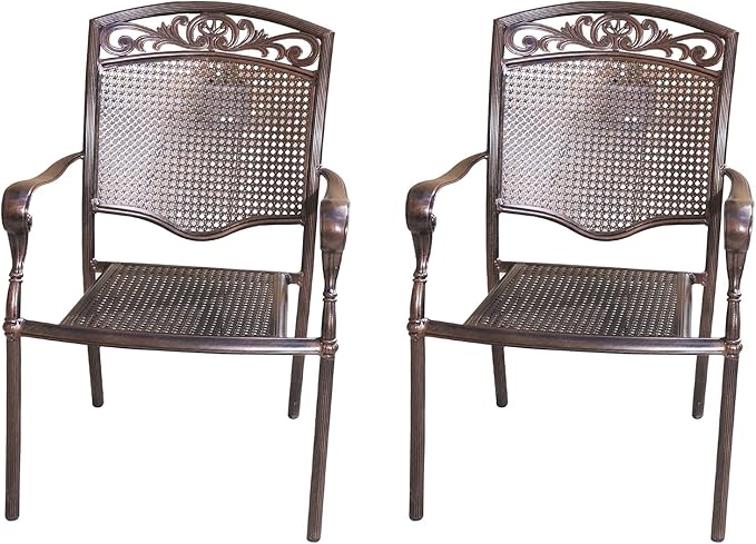 Outdoor Dining Chair Cast Aluminum Patio Chairs Set of 2 All-Weather Patio Dining Chair with Adjustable Feet for - Photo 1