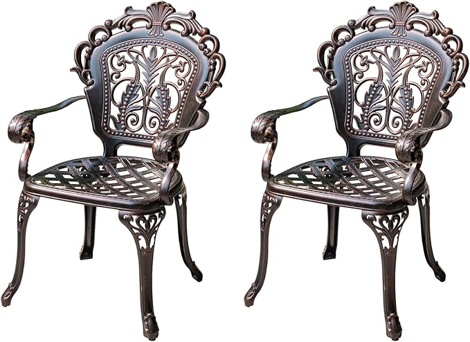 Outdoor Dining Chair Cast Aluminum Patio Chairs Set of 2 All-Weather Patio Dining Chair with Adjustable Feet for - Photo 1
