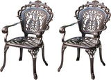 Outdoor Dining Chair Cast Aluminum Patio Chairs Set of 2 All-Weather Patio Dining Chair with Adjustable Feet for - Photo 1