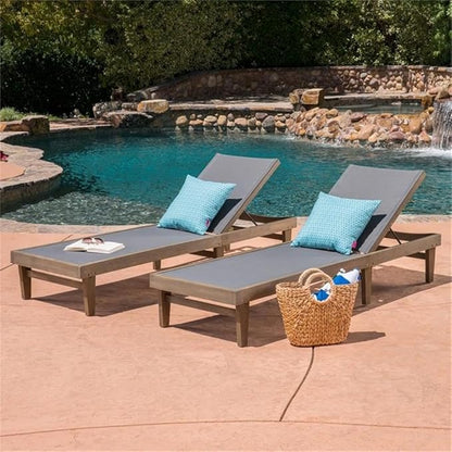 Christopher Knight Home Shiny Outdoor Wood Chaise Lounge (Set of 2), Grey Finish/Dark Grey Mesh