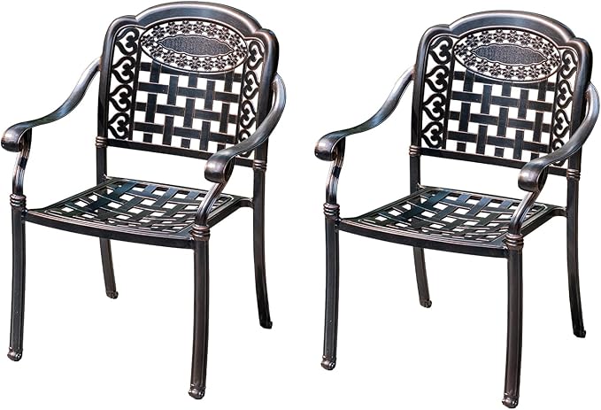 Outdoor Dining Chair Cast Aluminum Patio Chairs Set of 2 All-Weather Patio Dining Chair with Adjustable Feet for - Photo 1