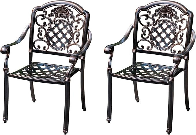 Outdoor Dining Chair Cast Aluminum Patio Chairs Set of 2 All-Weather Patio Dining Chair with Adjustable Feet for - Photo 1