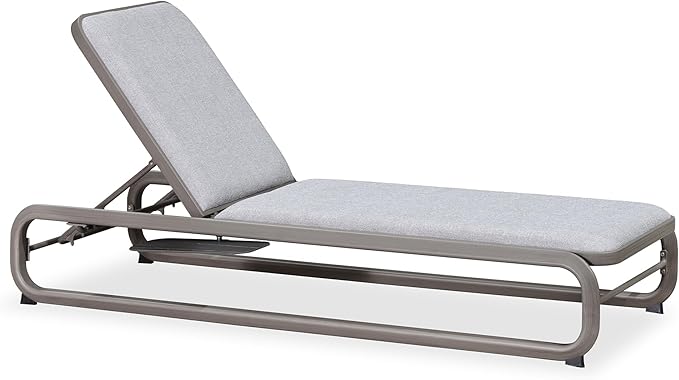 PURPLE LEAF Outdoor 4 Pieces Chaise Lounges Tanning Lounges for Outside Slide-Out Side Table with Cushion Adjustable Backrest Grey