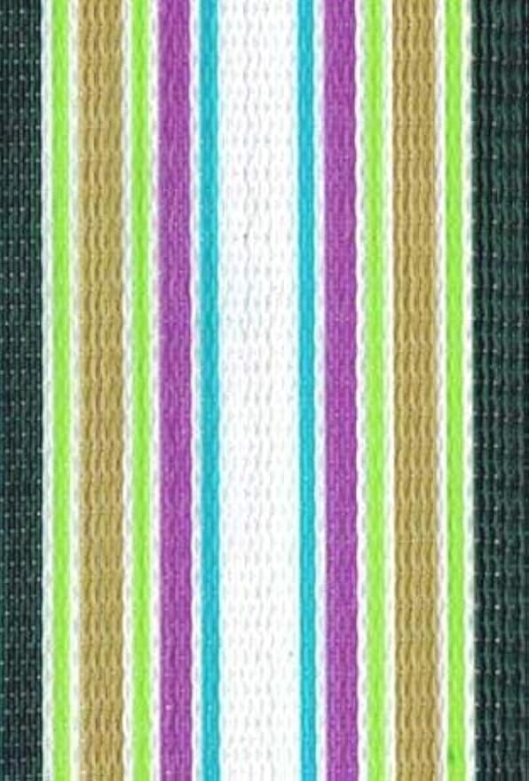 Lawn Chair USA Replacement Lawn Chair Webbing - UV-Resistant Polypropylene Straps (2 1/4" x 150', Spring Fling Green)