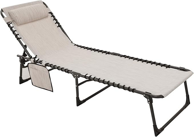 BlueWish Patio Chaise Lounge Chair, Lounge Chairs for Outside with 5 Position Reclining Backrest, Removable Pillow, 265 lbs Capacity, Folding Lounge Chair for Beach, Patio, Poolside