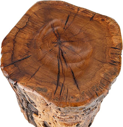 THY COLLECTIBLES Natural Tree Trunk Stump Stool with Live Edge Solid Wood Plant Stand, Stool, Garden Bench, Side Table, End Table - D8.6 in x H9.5 in