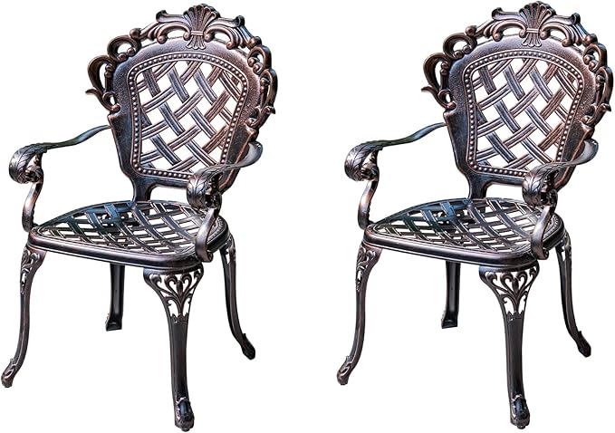 Outdoor Dining Chair Cast Aluminum Patio Chairs Set of 2 All-Weather Patio Dining Chair with Adjustable Feet for - Photo 1