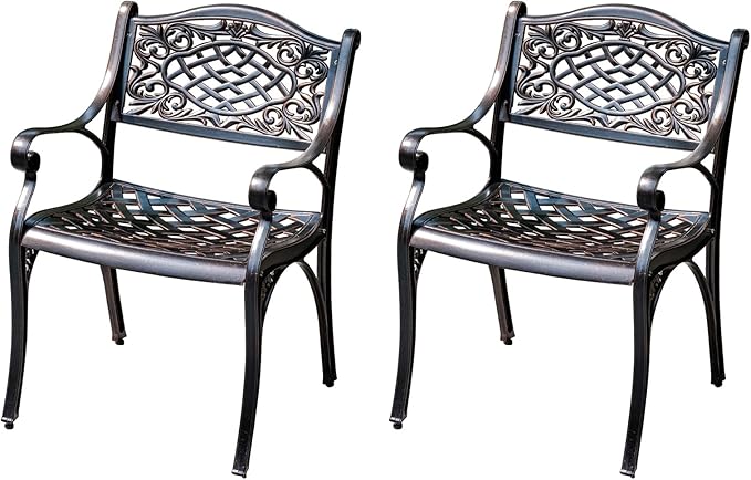 Outdoor Dining Chair Cast Aluminum Patio Chairs Set of 2 All-Weather Patio Dining Chair with Adjustable Feet for - Photo 1