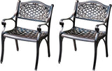 Outdoor Dining Chair Cast Aluminum Patio Chairs Set of 2 All-Weather Patio Dining Chair with Adjustable Feet for - Photo 1