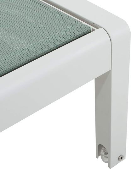 Christopher Knight Home Vanessa Coral Outdoor Chaise Lounges (Set of 2), Green and White