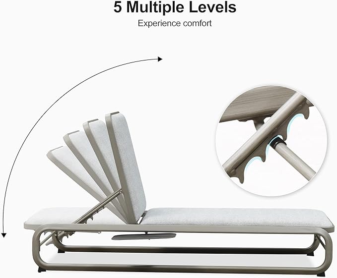 PURPLE LEAF Outdoor 3 Pieces Chaise Lounges Layout Lounges for Outside Slide-Out Side Table with Cushion Adjustable Backrest Grey