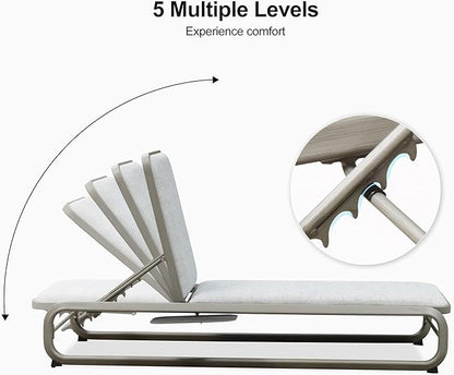 PURPLE LEAF Outdoor 3 Pieces Chaise Lounges Layout Lounges for Outside Slide-Out Side Table with Cushion Adjustable Backrest Grey