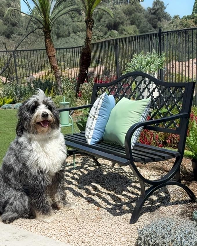 PHI VILLA 50" Outdoor Garden Patio Metal Bench for Outdoors with Plastic Backrest Armrests Sturdy Steel Frame, Black - Photo 9