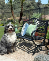 PHI VILLA 50" Outdoor Garden Patio Metal Bench for Outdoors with Plastic Backrest Armrests Sturdy Steel Frame, Black - Photo 9