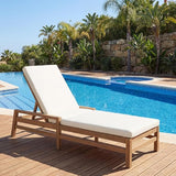 Outdoor Chaise Lounge Chair, Patio Chaise Lounge Recliner with Adjustable Backrest - Photo 1