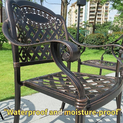 Outdoor Dining Chair Cast Aluminum Patio Chairs Set of 2 All-Weather Patio Dining Chair with Adjustable Feet for Backyard Garden (Phoenix Swivel Chair)