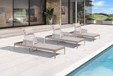 PURPLE LEAF 3 Pieces Outdoor Chaise Lounge Set Rattan Wicker Lounger with Arms Poolside Furniture Adjustable Recliners - Photo 1