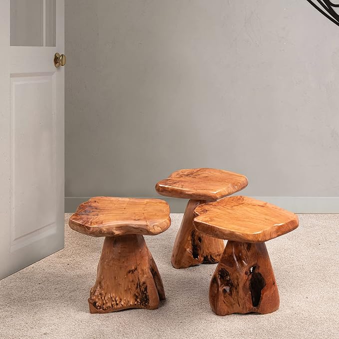 Cedar Wood Tree Stump Stool 13.5"x12"x14"H Live Edge Natural Coffee Side Table Rustic Plant Stand for Living Room - Photo 7
