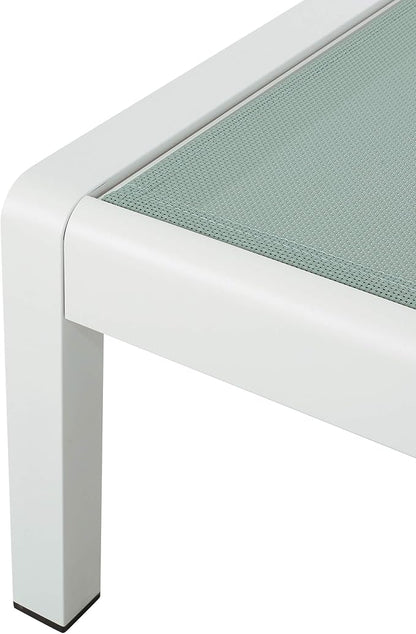 Christopher Knight Home Vanessa Coral Outdoor Chaise Lounges (Set of 2), Green and White