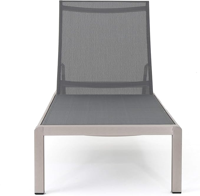 Christopher Knight Home Cape Coral Outdoor Mesh Chaise Lounges, 2-Pcs Set, Dark Grey / Silver