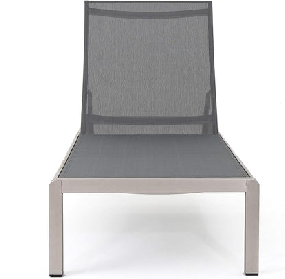 Christopher Knight Home Cape Coral Outdoor Mesh Chaise Lounges, 2-Pcs Set, Dark Grey / Silver