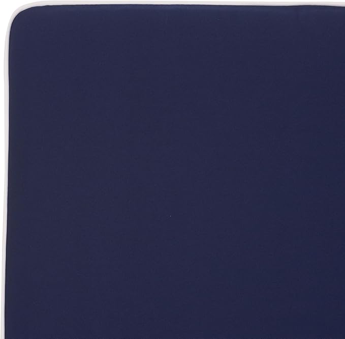 SAFAVIEH Outdoor Patio Furniture Collection - Sophie Natural Solid Wood Lounger with Navy Cushion & White Piping, Adjustable Backrest, Chaise Lounge Chair (PAT7101B)