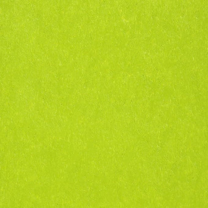 WO WESTIN OUTDOOR HDPE Laguna Outdoor Folding Poly Adirondack Chair (Set of 8),Lime