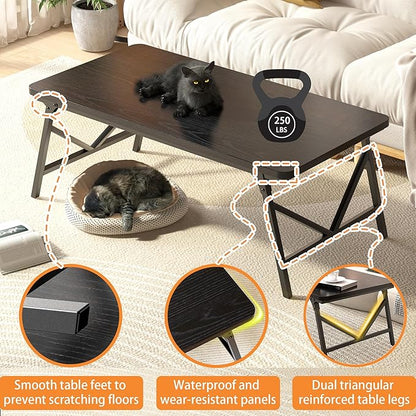 Folding Coffee Table, No Assembly Low Coffee Table, Floor Table Desk for Sitting on The Floor, Portable Floor Table for Living Room, Home, Caravan and use, 31.5L‘ x 15.8W’ x 15.8H’