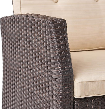 Christopher Knight Home Sanger Outdoor Club Chair with Cushions - Wicker - Dark Brown/Beige