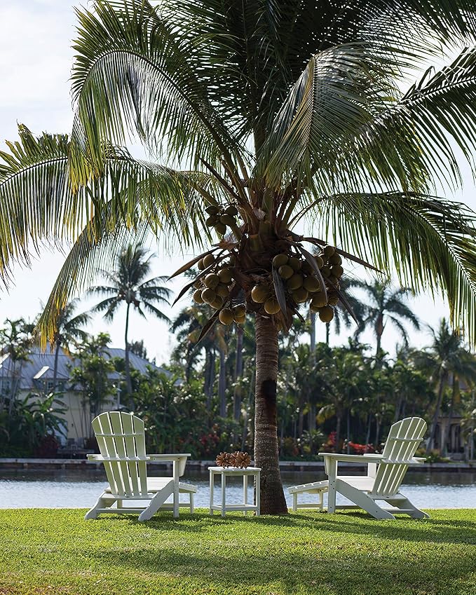 POLYWOOD Palm Coast Ultimate Adirondack Chair 3-Piece Set with Hideaway Ottoman